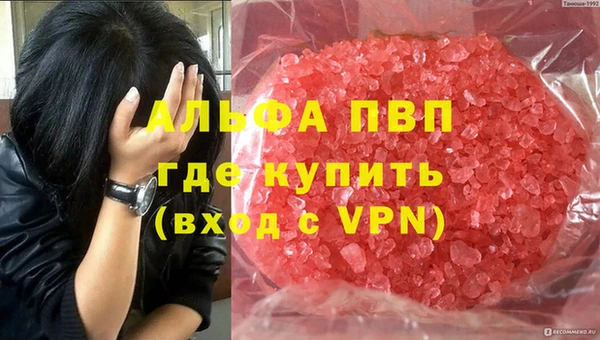 индика Дубна