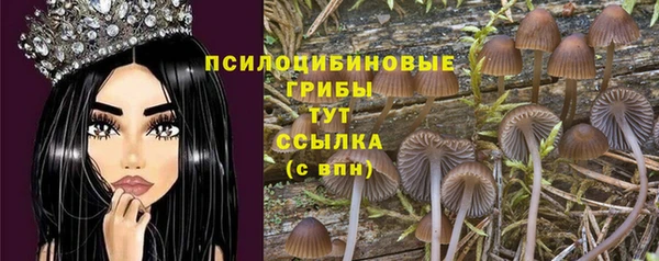 сатива Данков