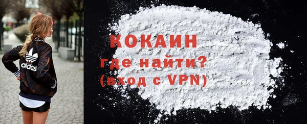 spice Ельня