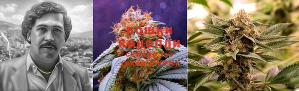 индика Дубна