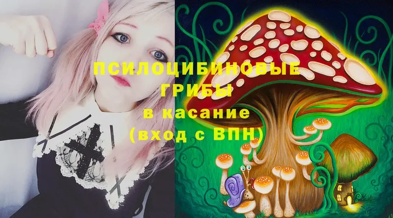 Галлюциногенные грибы Magic Shrooms  нарко площадка телеграм  Балей 